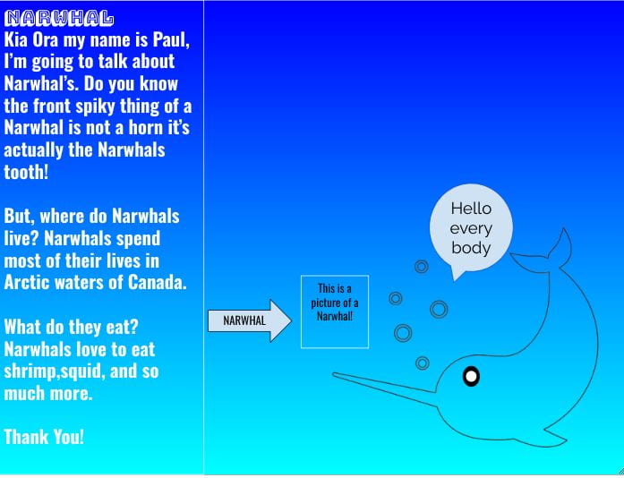 Narwhal Facts! – Paul @ Gilberthorpe School